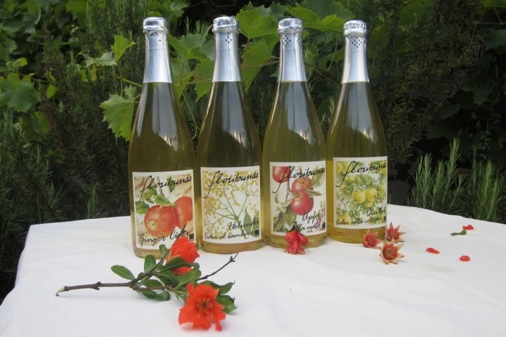Floribunda- Cidervariationen Creazioni di Sidro