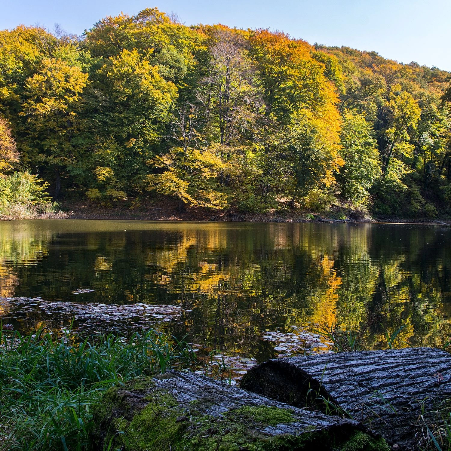 Park Narodowy Fruška Gora