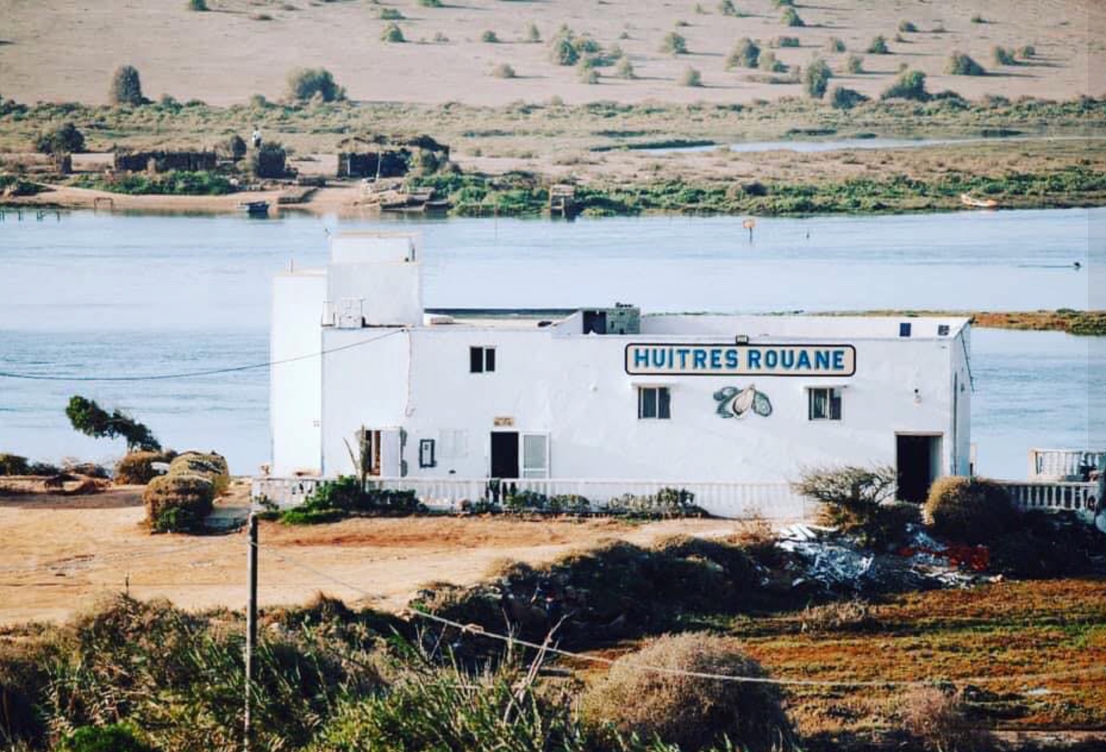 Huîtres Rouane