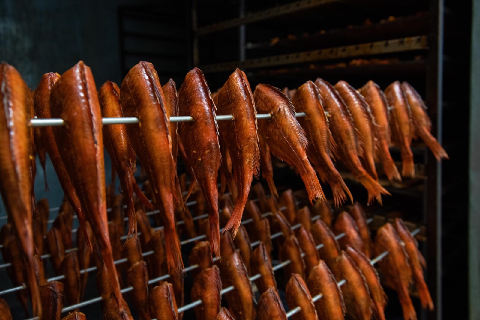 Wędzarnia ryb Meduza