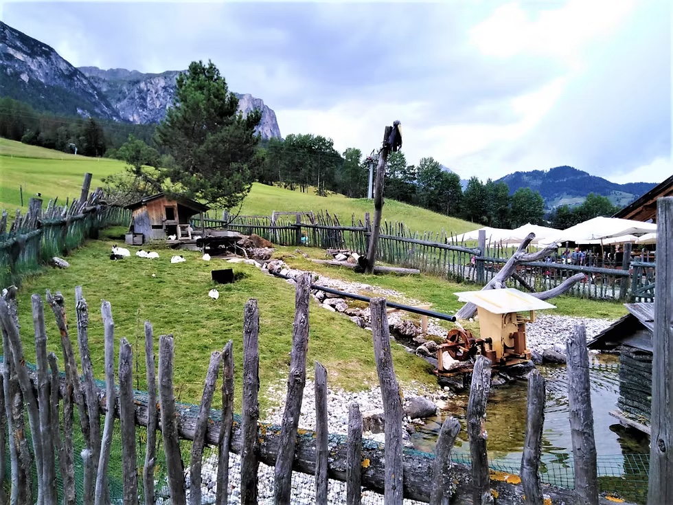 Parco Cervi Sompunt - Alta Badia