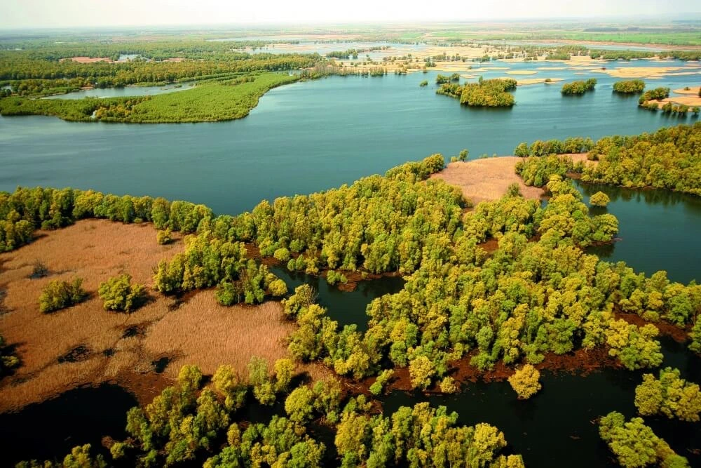 Park Przyrody Kopački Rit