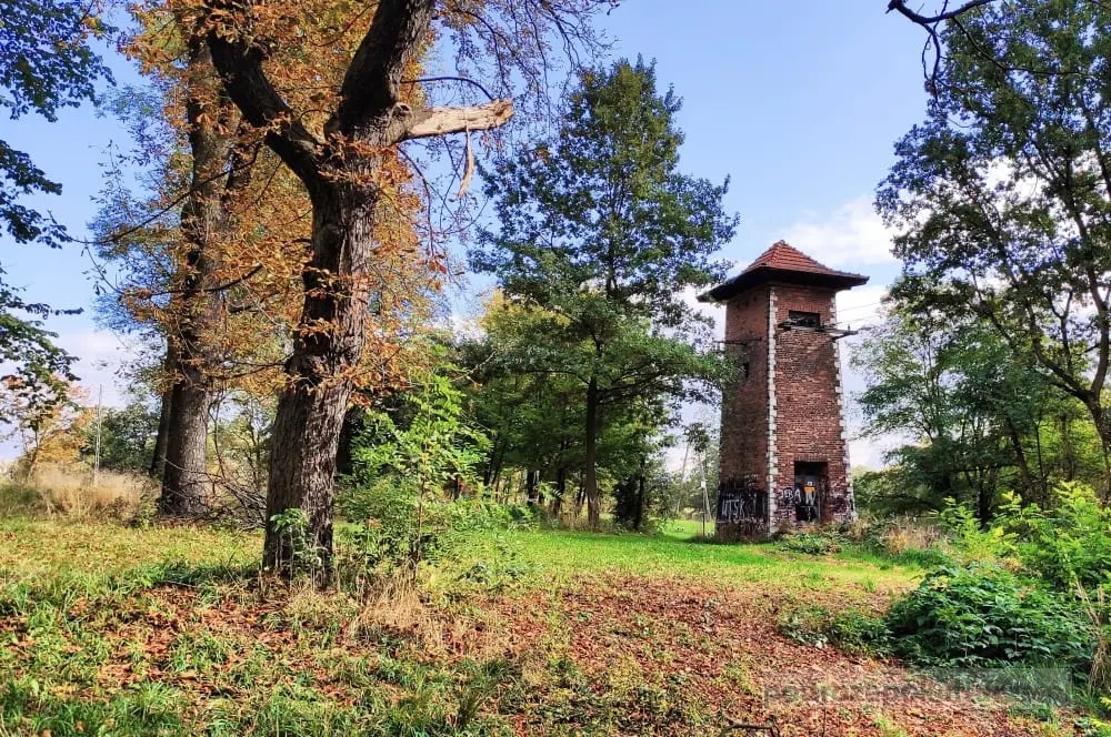 Park Zdrojowy w Swoszowicach