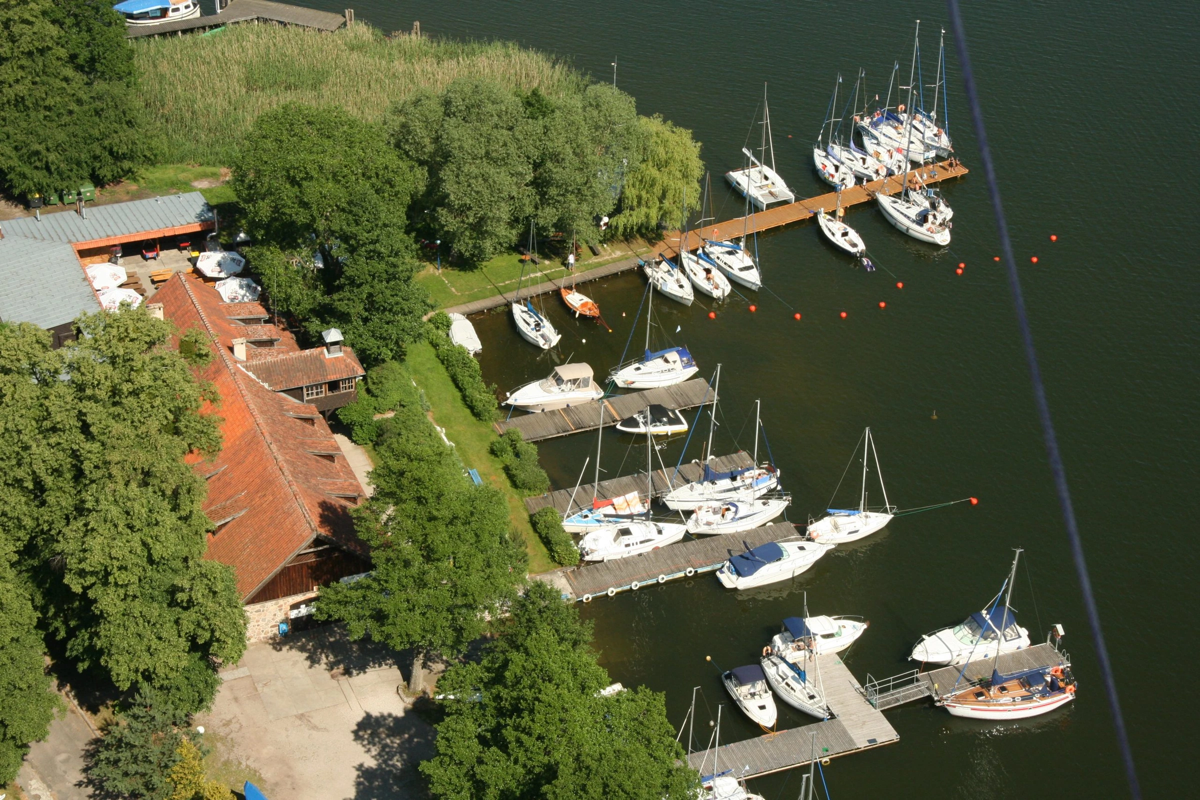 Port Wierzba