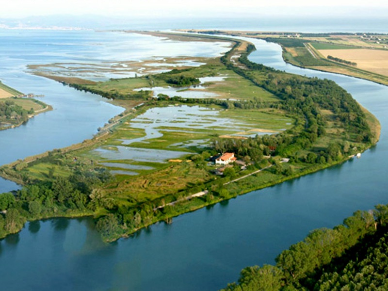 Riserva Naturale Regionale della Foce dell'Isonzo Isola della Cona