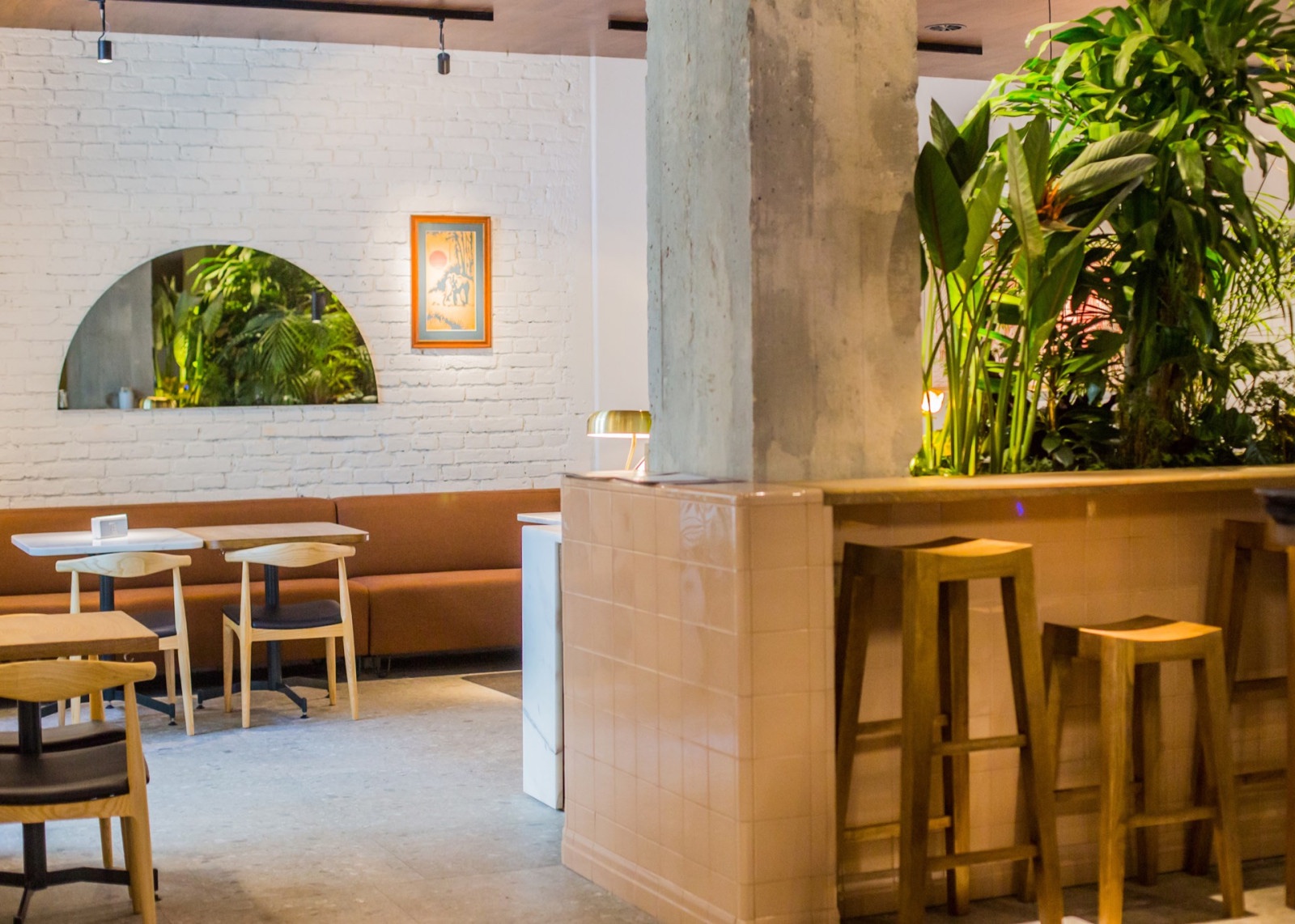 Taj Kraków Kazimierz