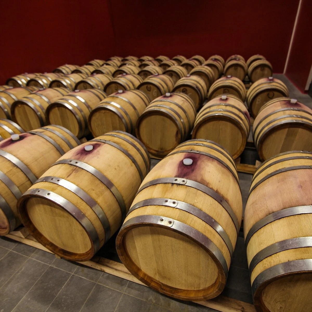 Vinogradi Nuić
