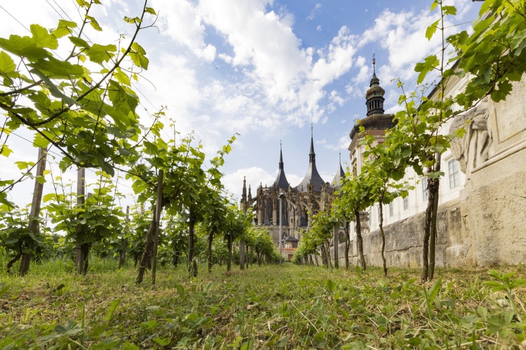 Wine Cellars Kutna Hora